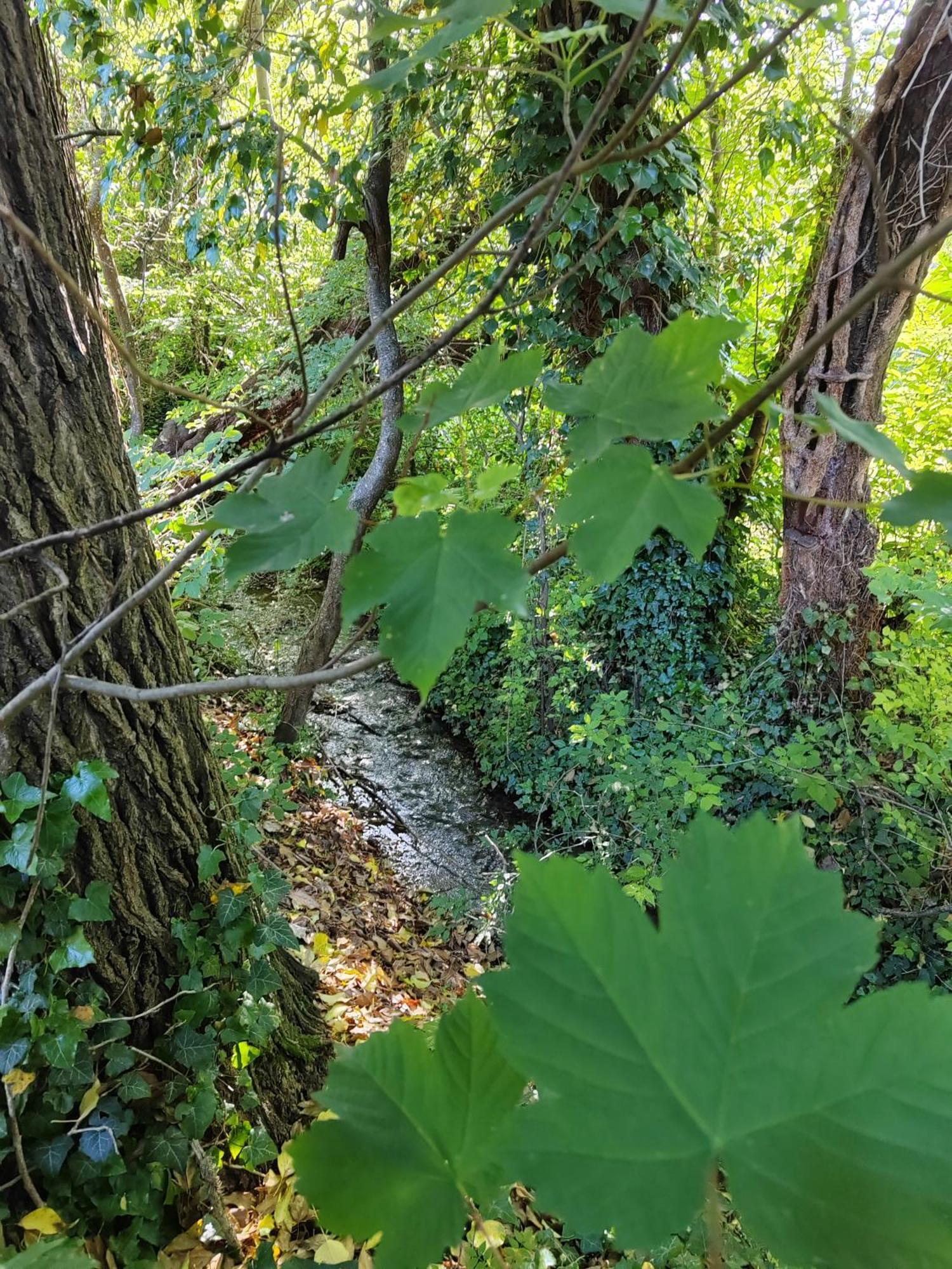Le Frais Ruisseau Διαμέρισμα Nant Εξωτερικό φωτογραφία